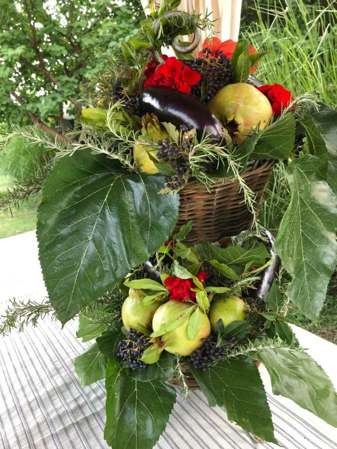 Ars Naturae Farm stay Rome