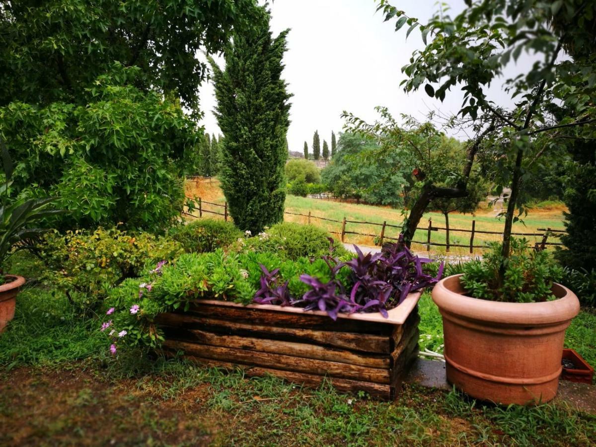 Ars Naturae