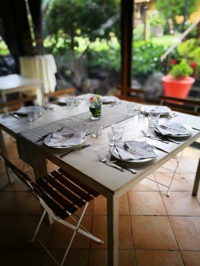 Ars Naturae Farm stay *